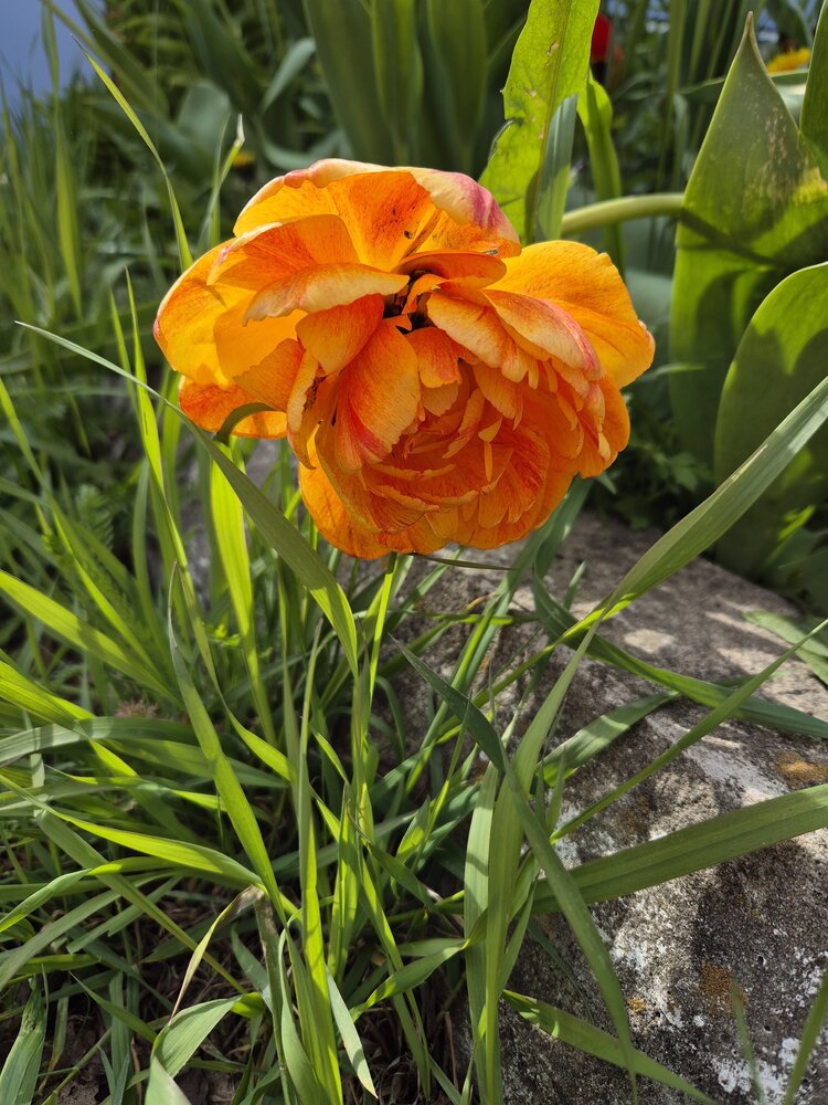Photograph by Елена Гордеева
