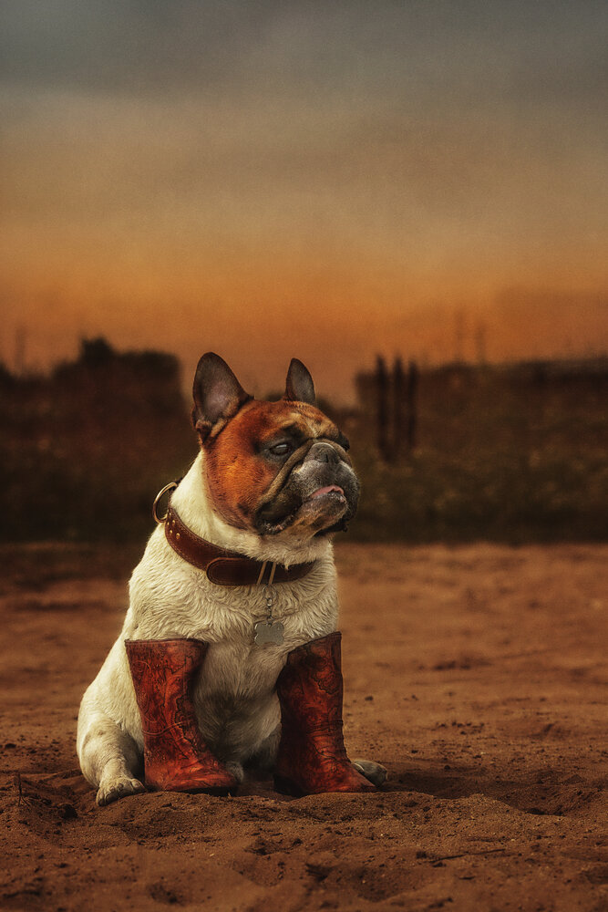 Photograph by Ольга Софронова
