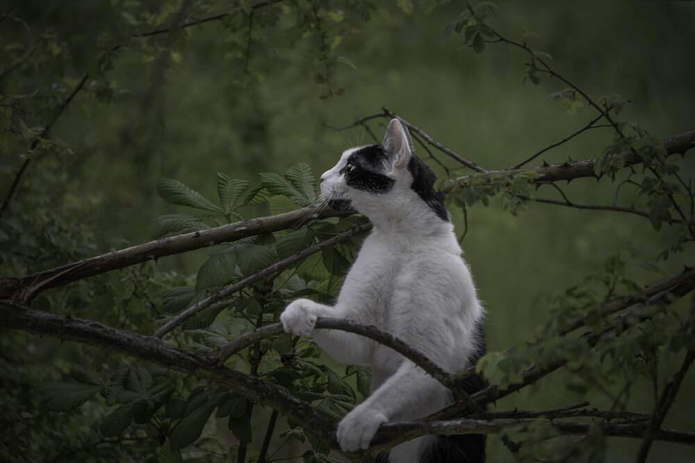 Photograph by Nataliia Kliuieva-Makarenko