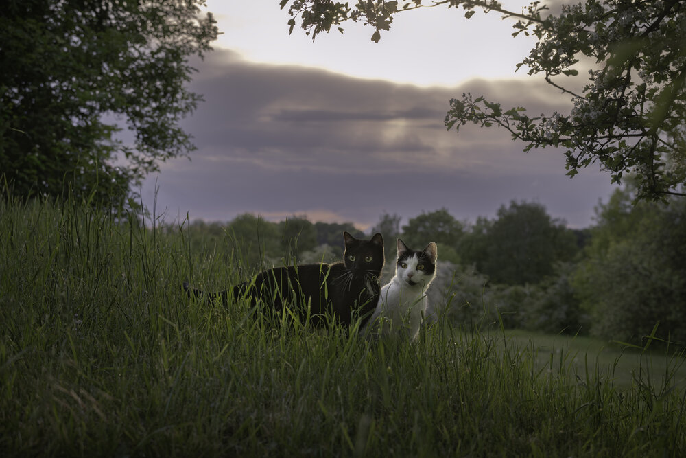 Photograph by Nataliia Kliuieva-Makarenko