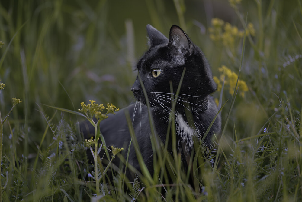 Photograph by Nataliia Kliuieva-Makarenko
