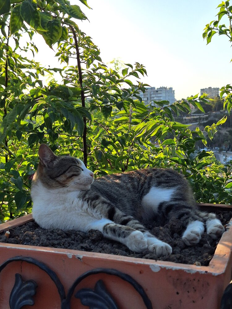 Photograph by Ольга