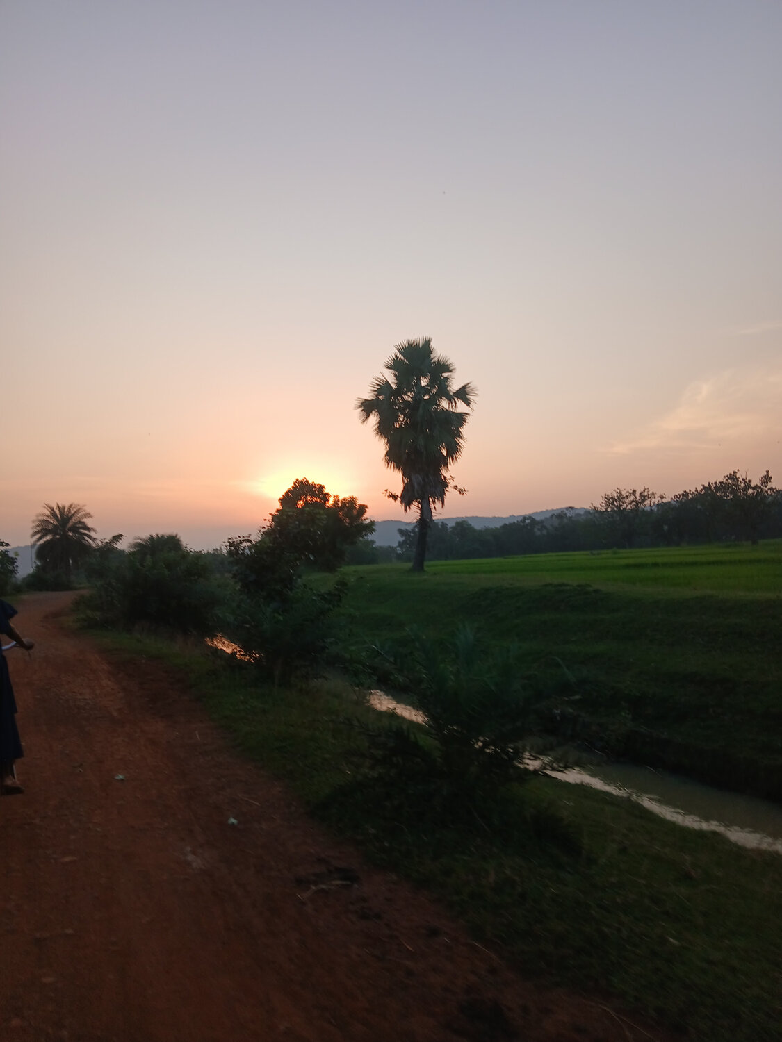 Photo #14027739