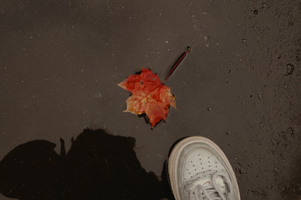 Photograph by Полина Шепс