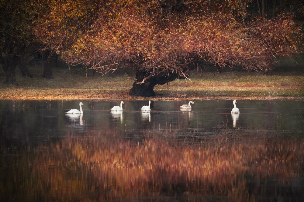 Photograph by Jelena Potrebic