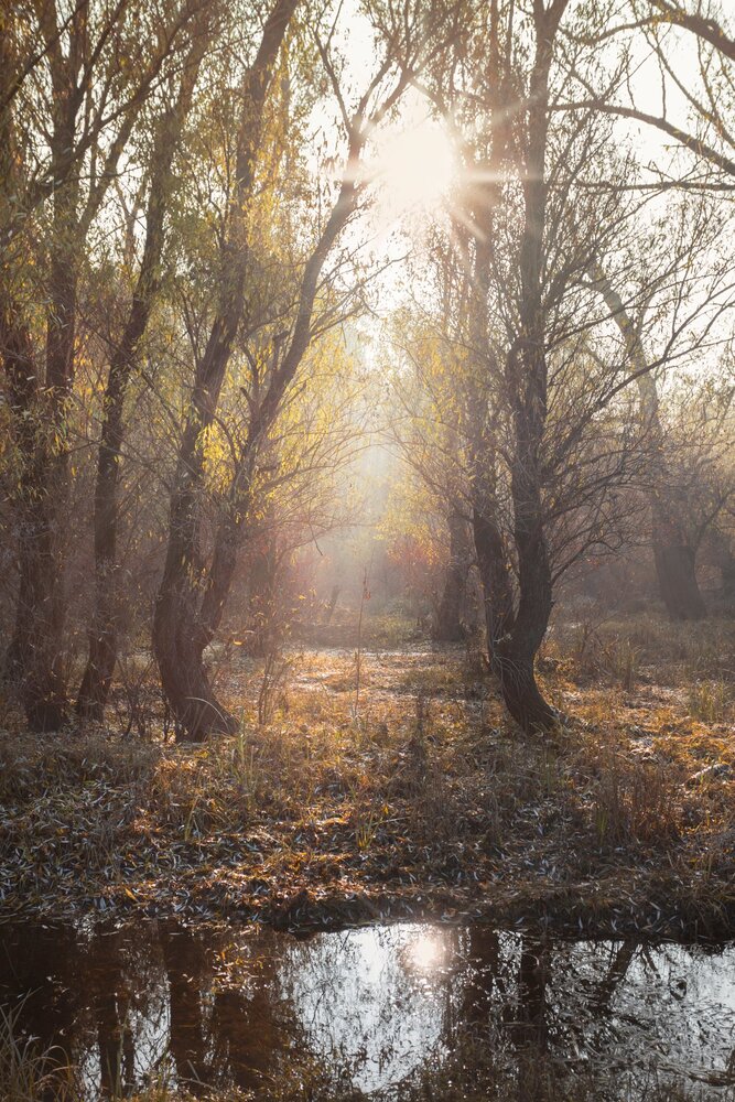 Photograph by Jelena Potrebic