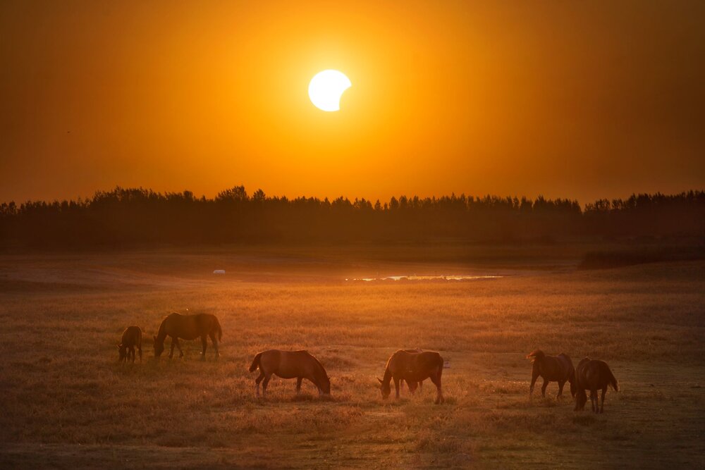 Photograph by Jelena Potrebic