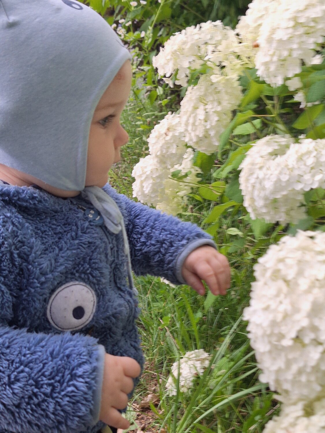 Photo #14027768