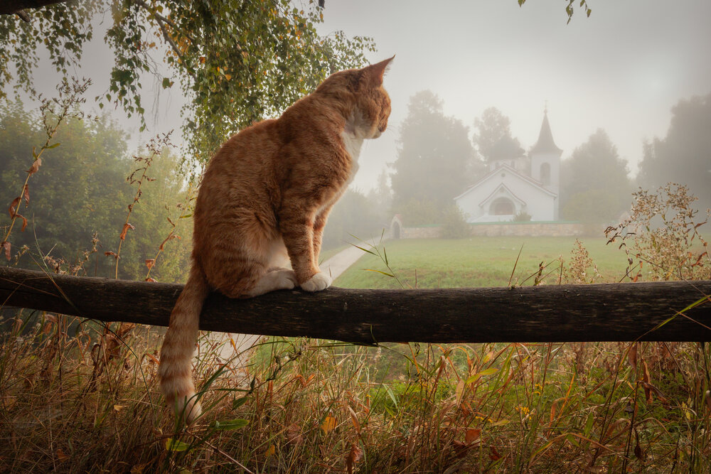 Photograph by Артём Парамонов