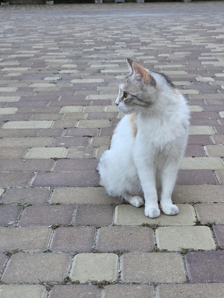 Photograph by Елена Гордеева