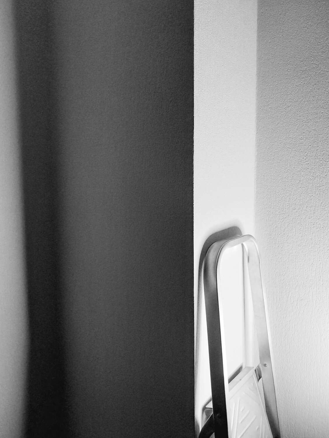 Photo #14027859