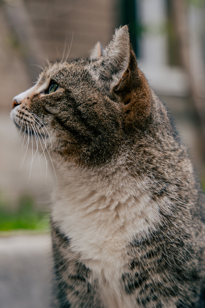 Photograph by Георгий Татарченко