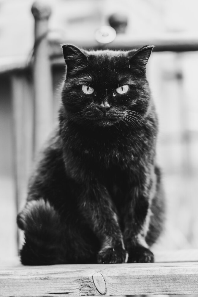 Photograph by Георгий Татарченко