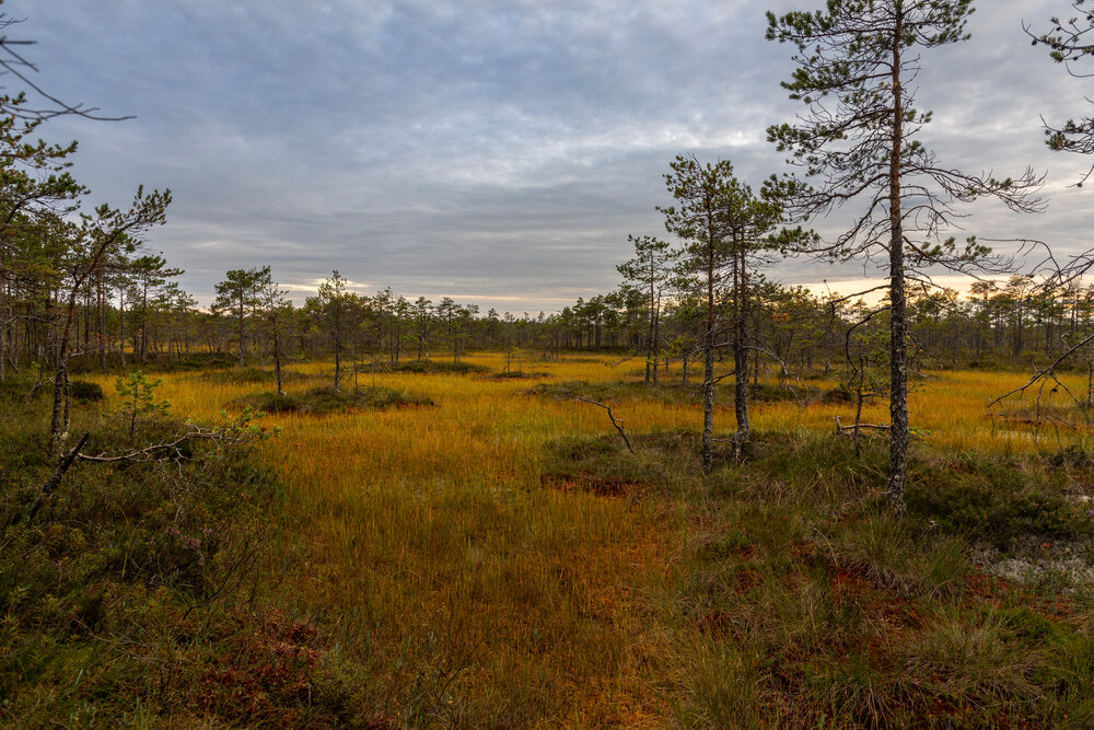 Photo #14027871