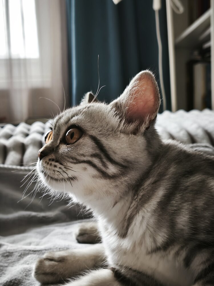 Photograph by Олеся Хижко