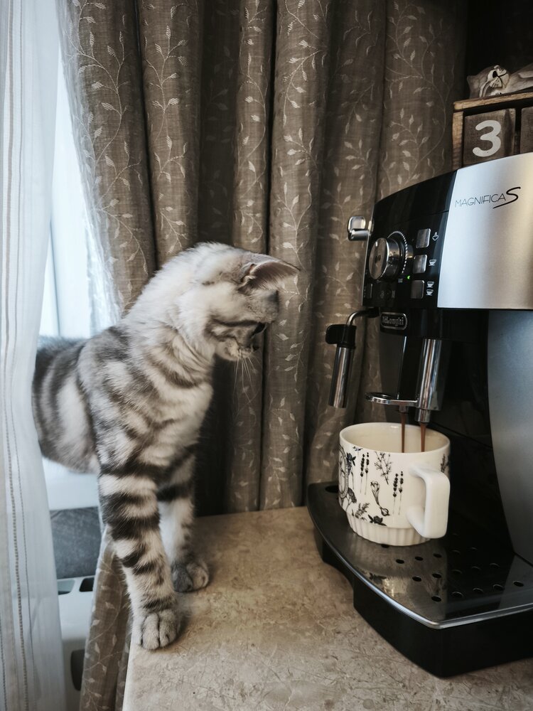 Photograph by Олеся Хижко