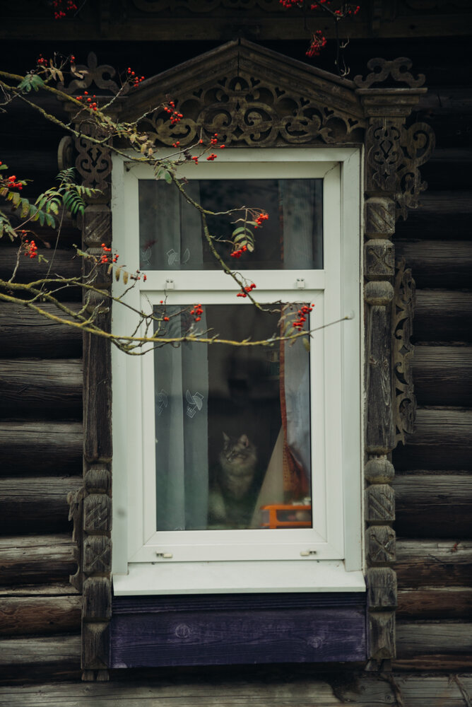 За окном