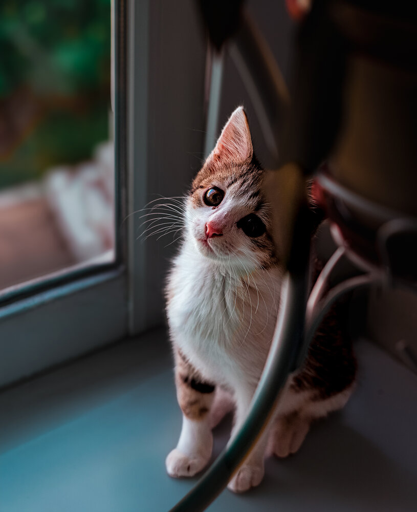 Photograph by Дмитрий Александрович