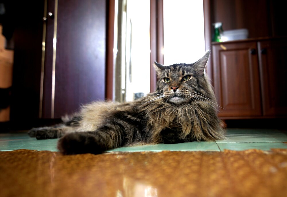 Photograph by Евгений Зайцев