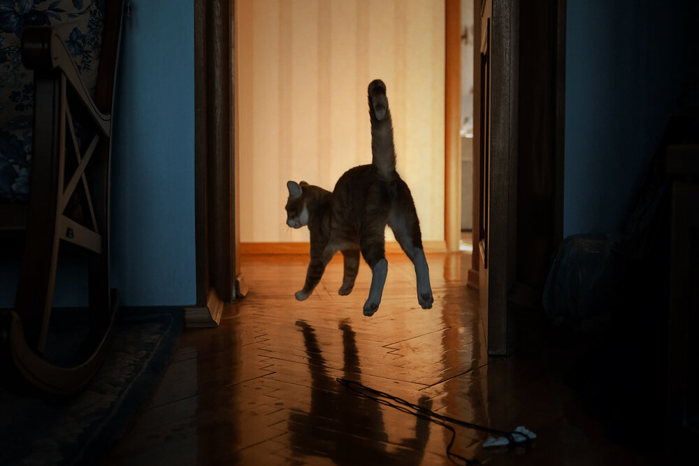 Photograph by Mighty Obscurant