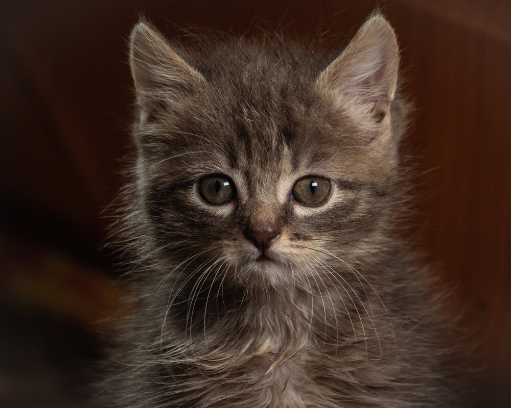 Photograph by Александр Бабаков