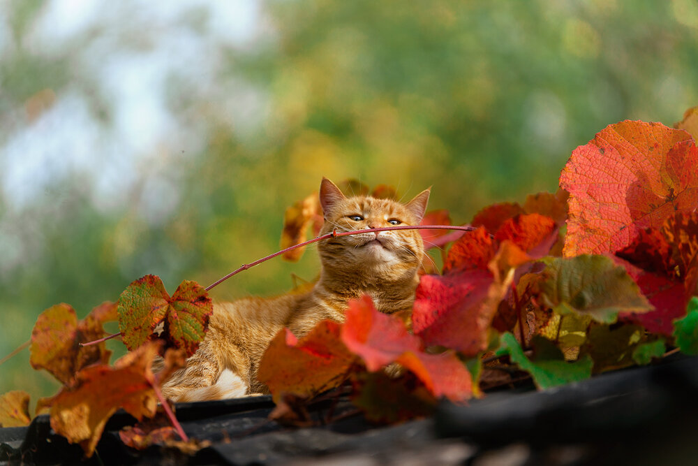 Photograph by Mighty Obscurant