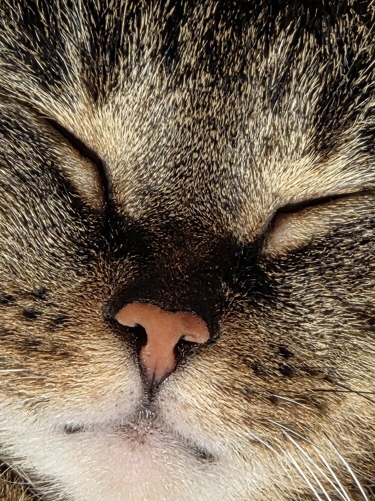 Photo #14028039