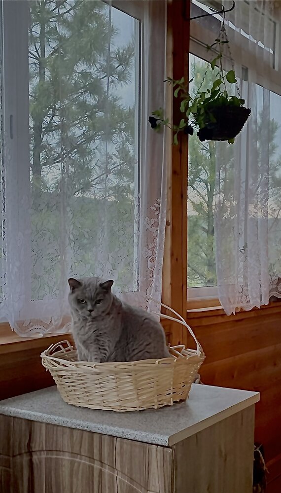 Photograph by Оксана Дунаевская