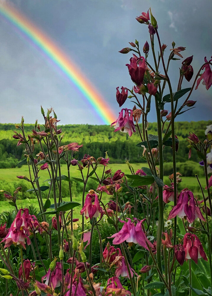 Photograph by Оксана Дунаевская
