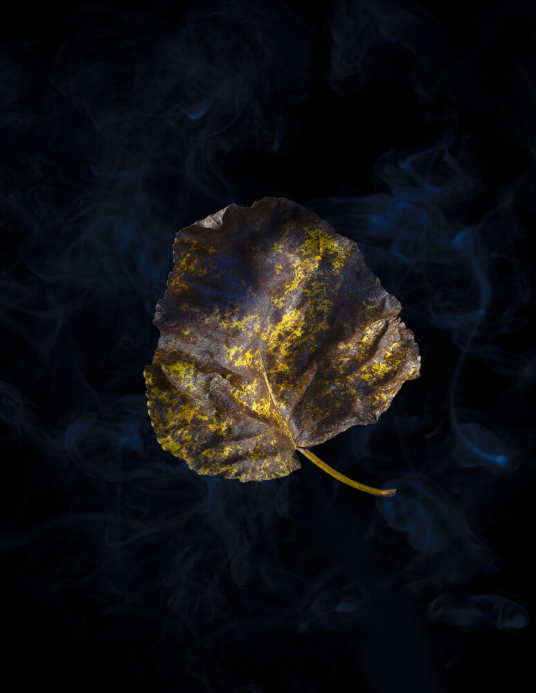 Photograph by Федюков Алексей