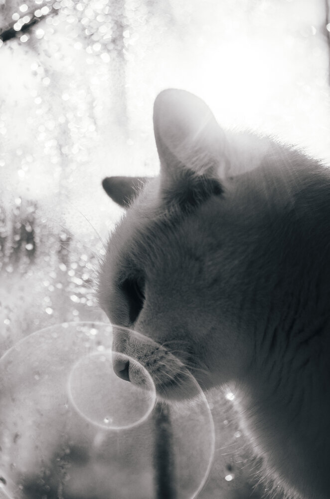 Photograph by Любовь Бусова