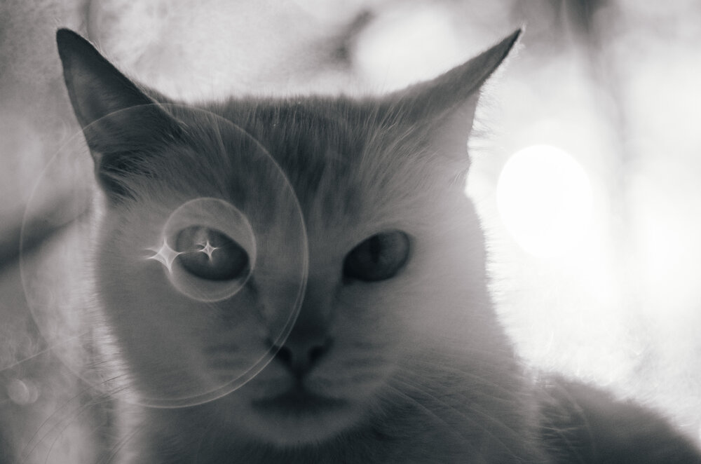 Photograph by Любовь Бусова