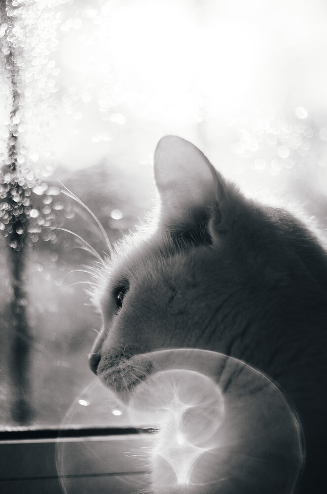 Photograph by Любовь Бусова