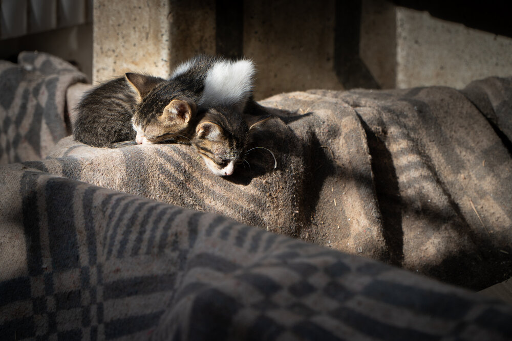 Photograph by Giorgio Castelli