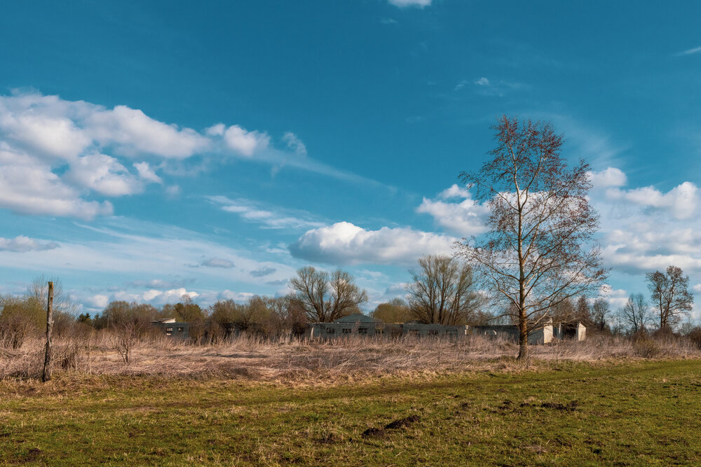 Photo #14028151
