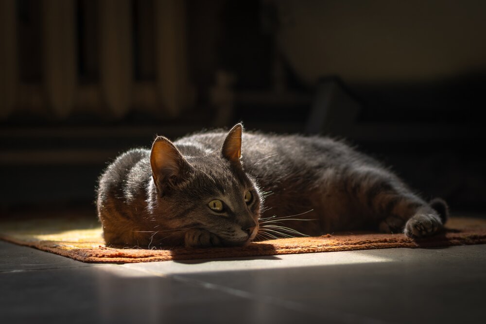 Photograph by Хабаров Сергей