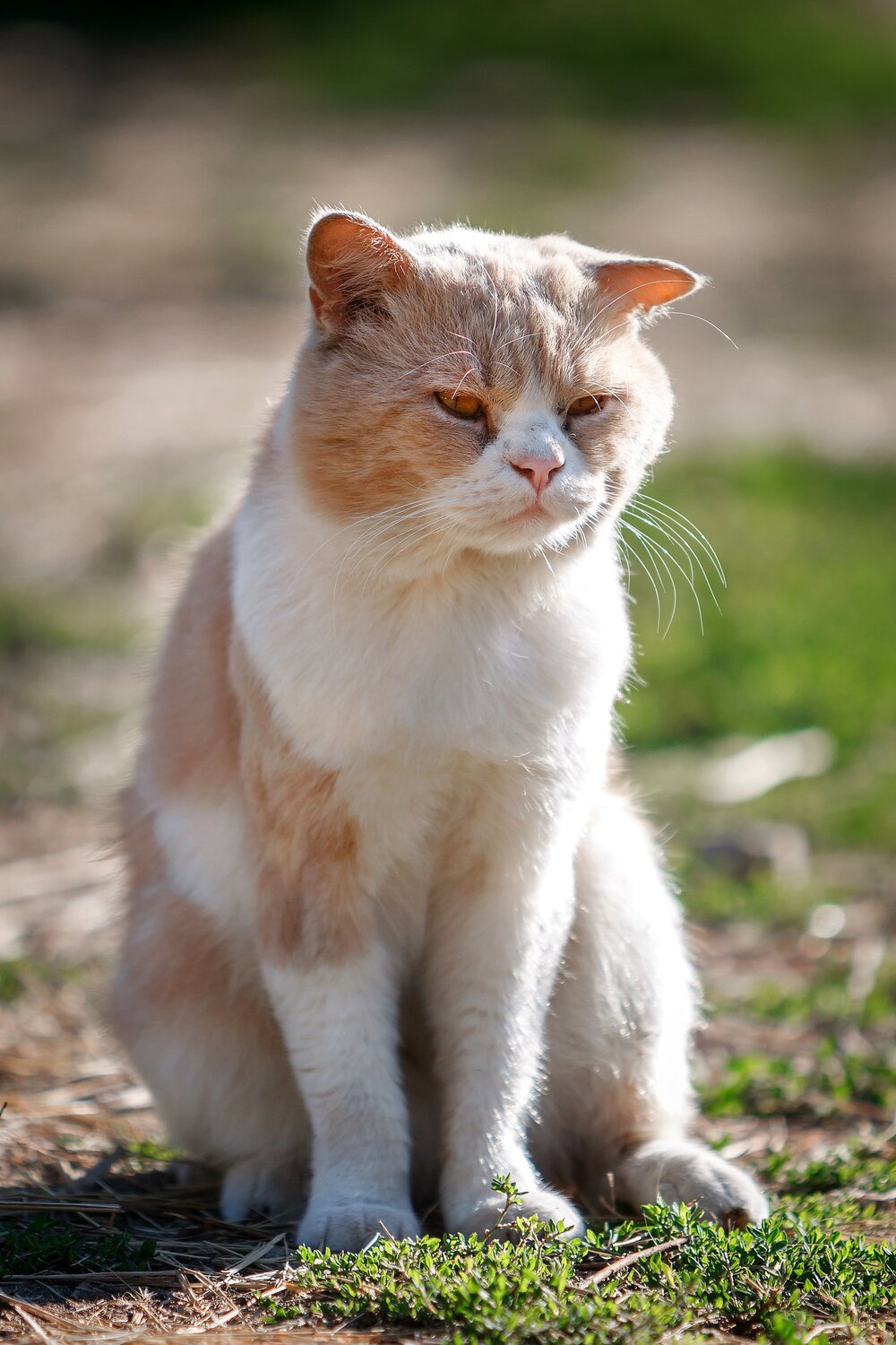 Photo #14028216