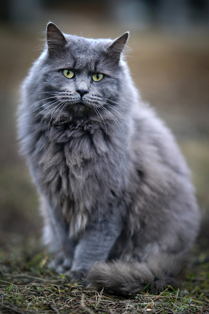Photograph by Владимир Салапонов