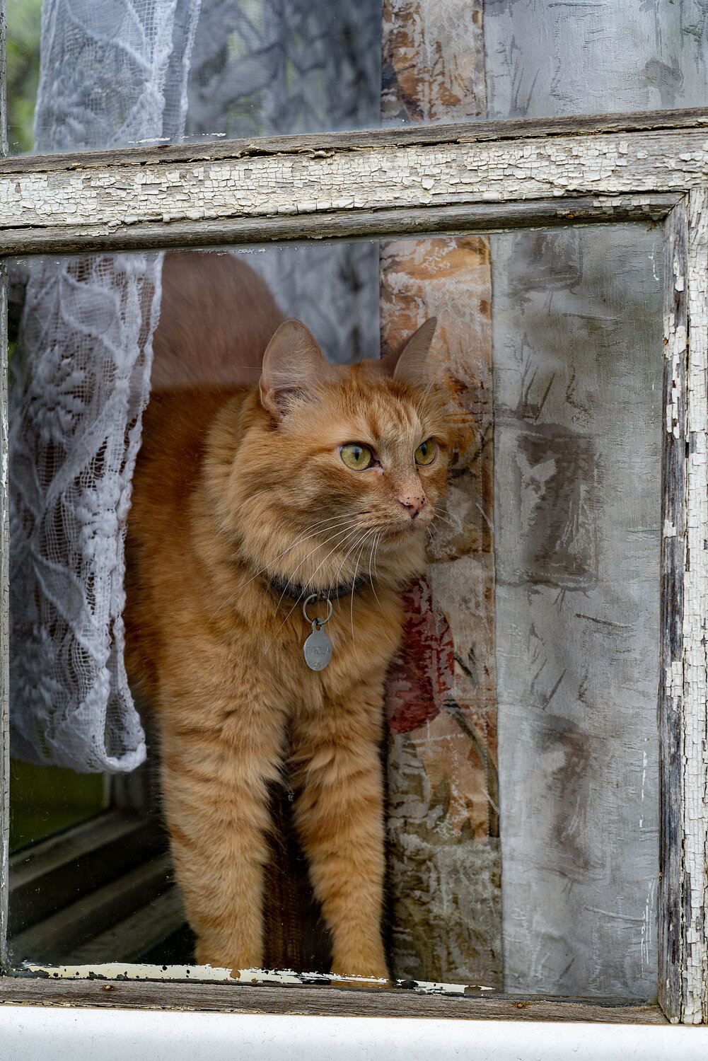 Photo #14028263