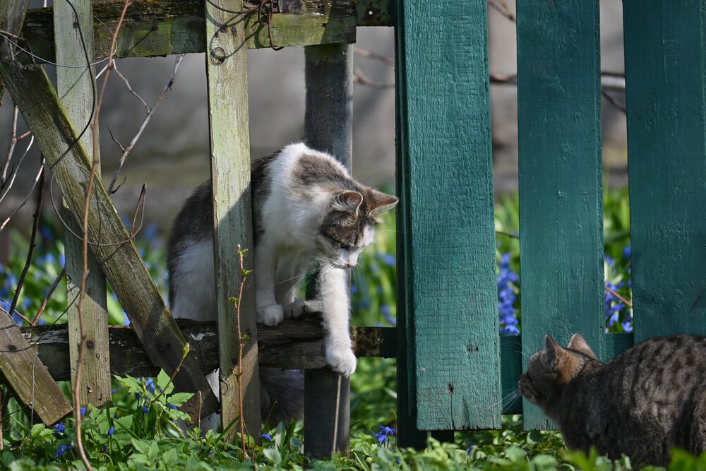 Photograph by IRINA FILIPPOVA