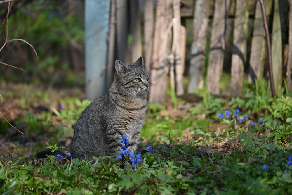 Photograph by IRINA FILIPPOVA