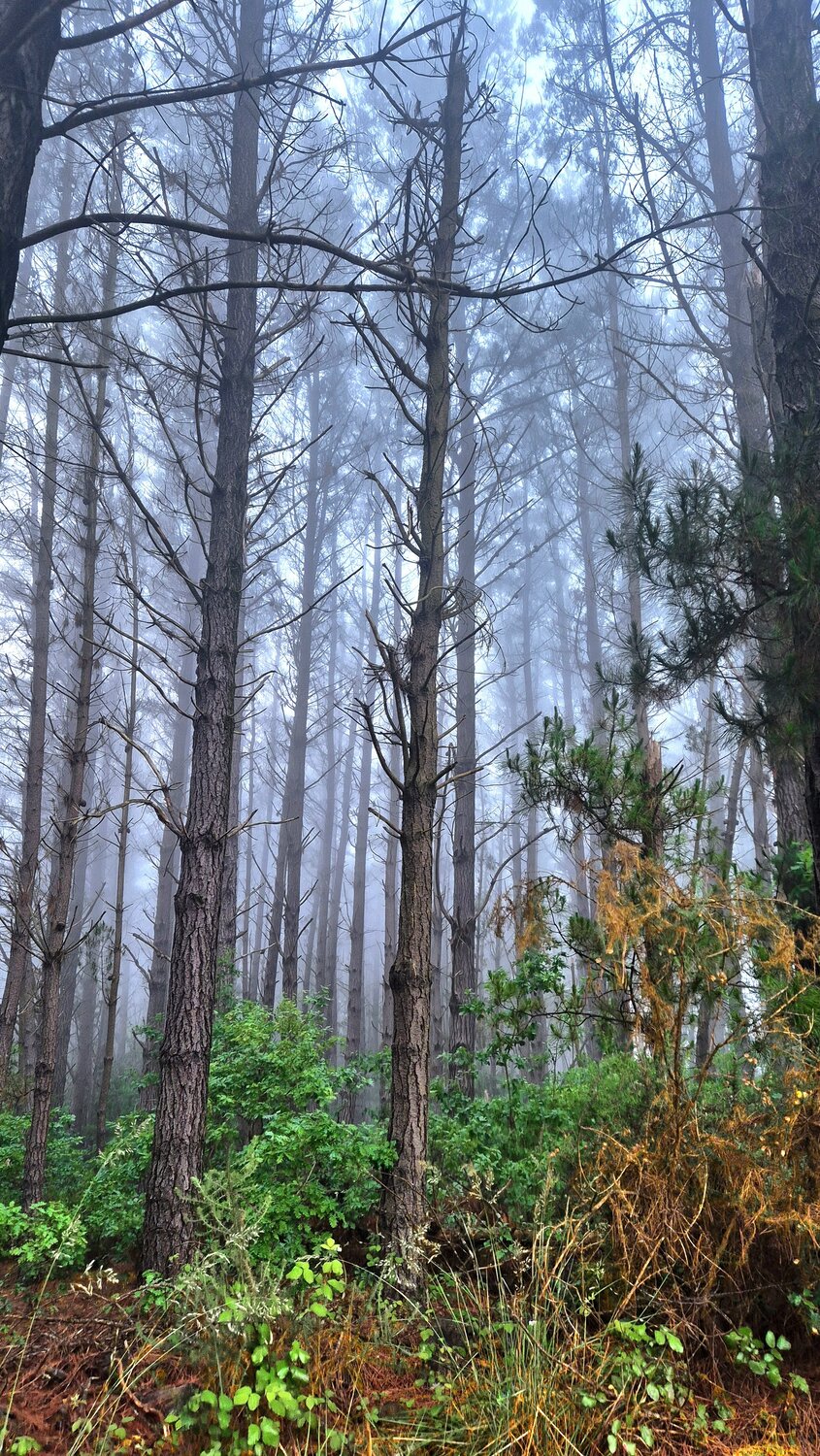 Photo #14028357