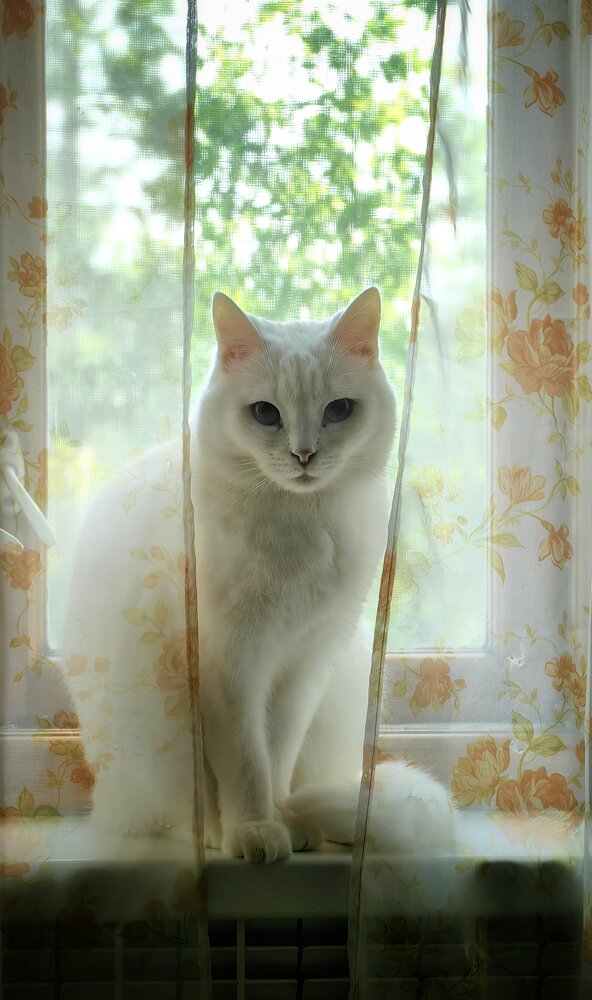 Photograph by Сергей Зайцев