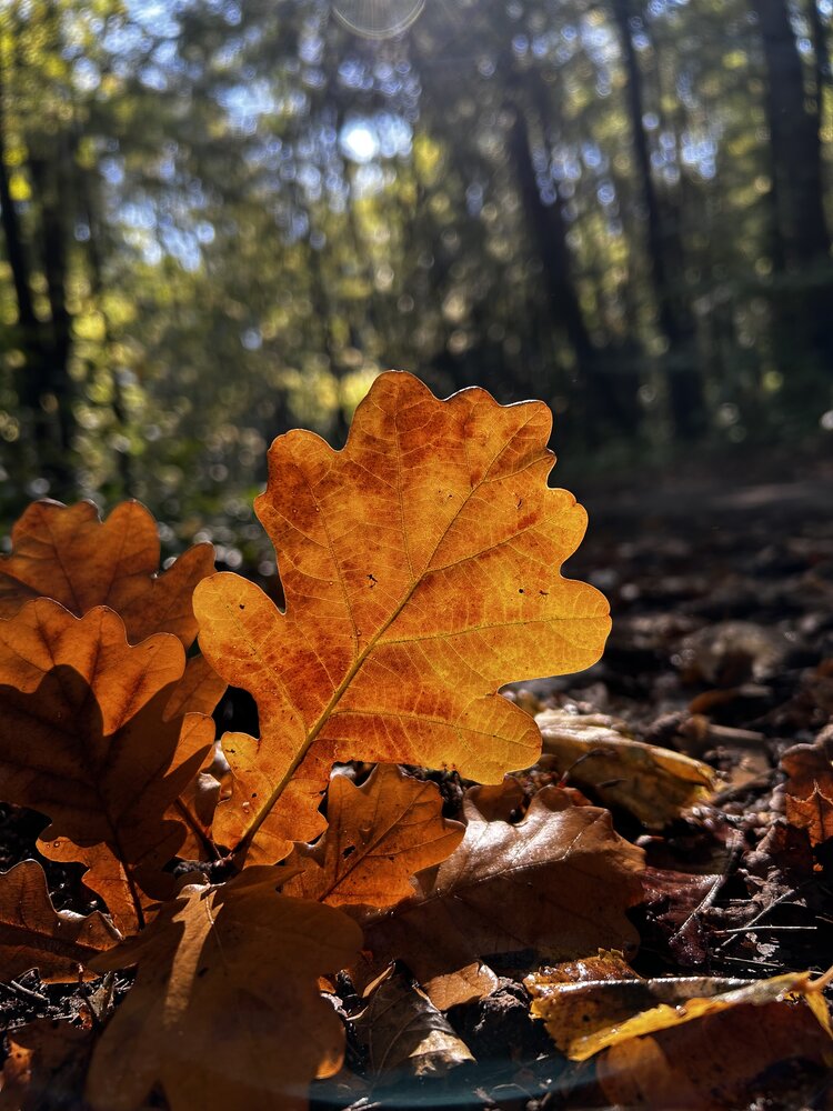 Photograph by Елена Храмова