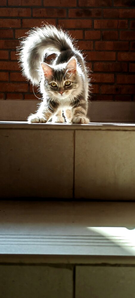 Photograph by Mariia Dolgikh