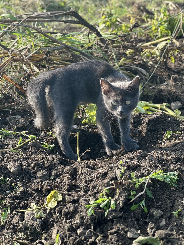 Photograph by Ирина Маркина