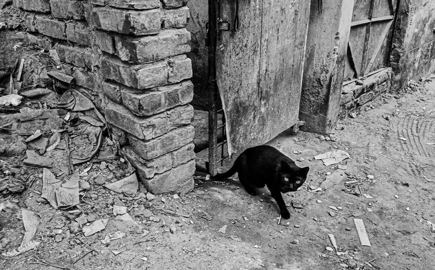 Photo #14028409