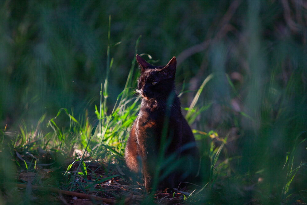 Photograph by Трегубов Лада