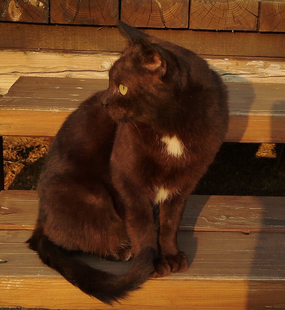 Photograph by Елена Алешкевич