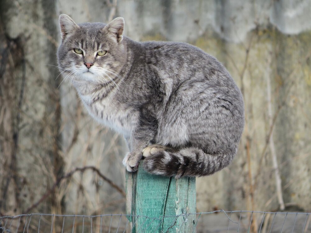 Photograph by Лариса Басова